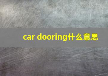 car dooring什么意思